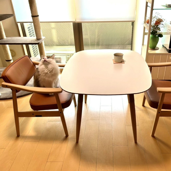 カリモク60オフィシャルショップ オンライン