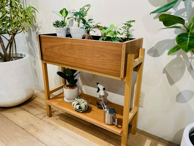 観葉植物の飾り棚「FLANGE plywood プランターシェルフ」 - カリモク60